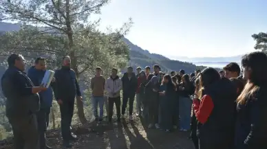 Köyceğiz MYO Öğrencileri Uygulamalı Eğitimde: Ormancılık Dersleri Sahada İşlendi