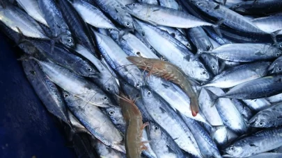 Denetimlerde ele geçirilen su ürünleri yardım kuruluşlarına bağışlanıyor