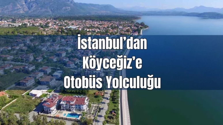 İstanbul’dan Köyceğiz’e Otobüs Yolculuğu